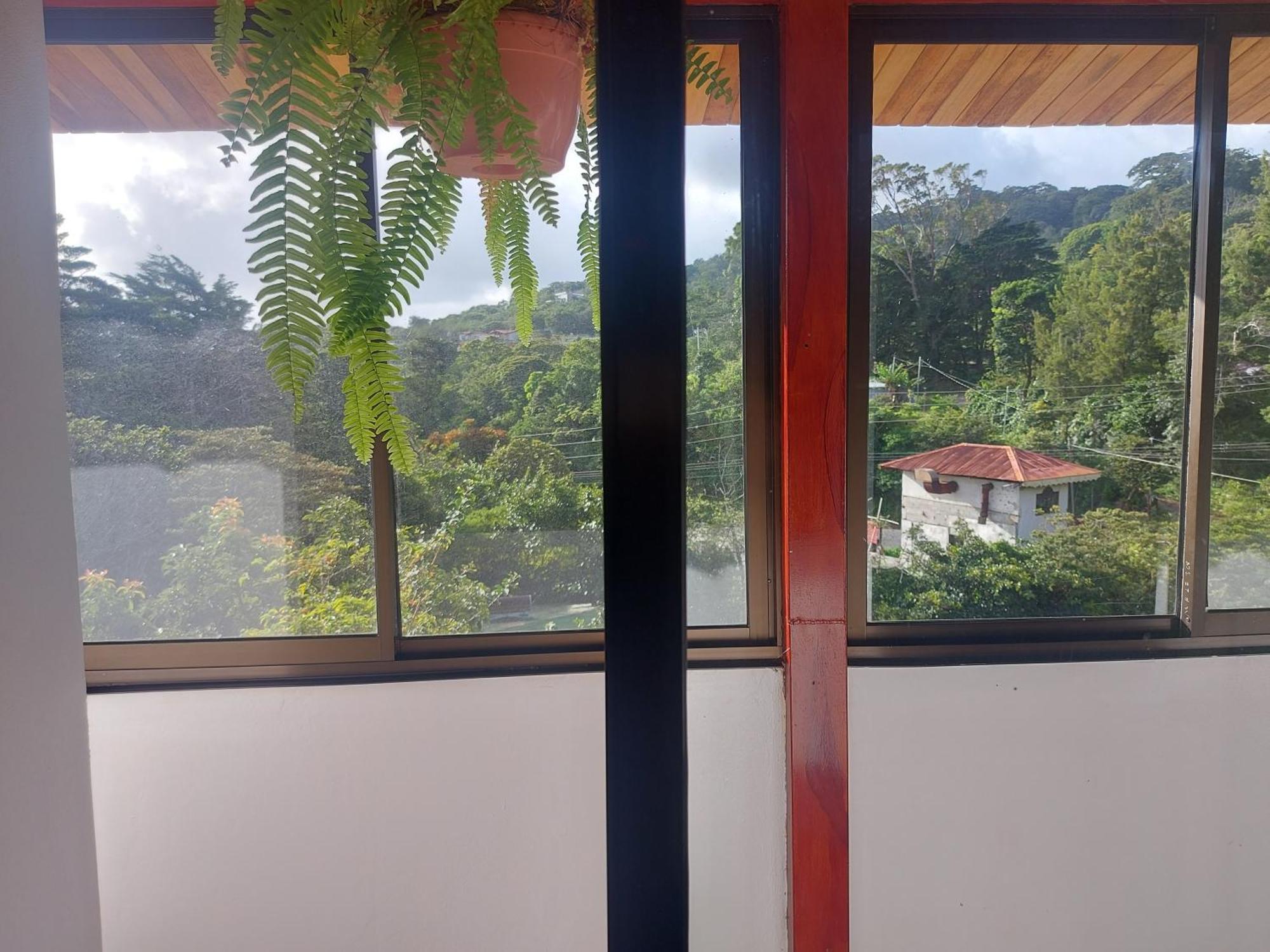 Alisson Hotel Y Restaurant Monteverde Extérieur photo